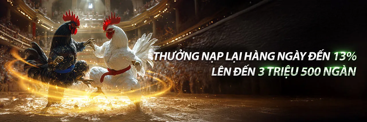 Gà chọi dũng mãnh trong trận đá gà trực tuyến tại 8Kbet8