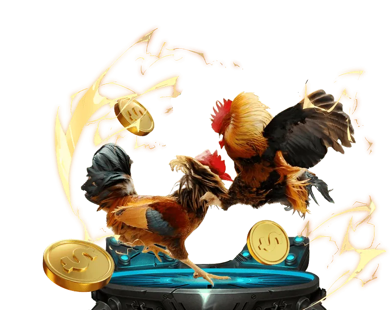 Đá gà trực tiếp hấp dẫn tại 8Kbet8